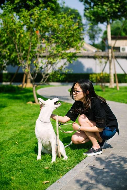 Lin Lin works as a freelance designer in Beijing, but enjoys taking on freelance animal-sitting. Photo: SCMP Pictures