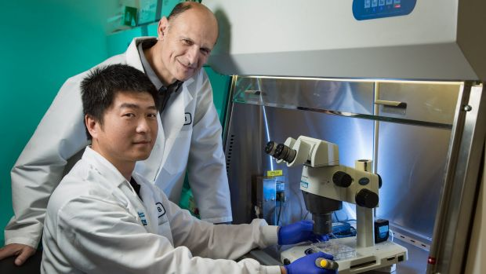 Dr Jun Wu (seated) and Professor Juan Carlos Izpisua Belmonte. Photo: Joe Belcovson/Salk Institute