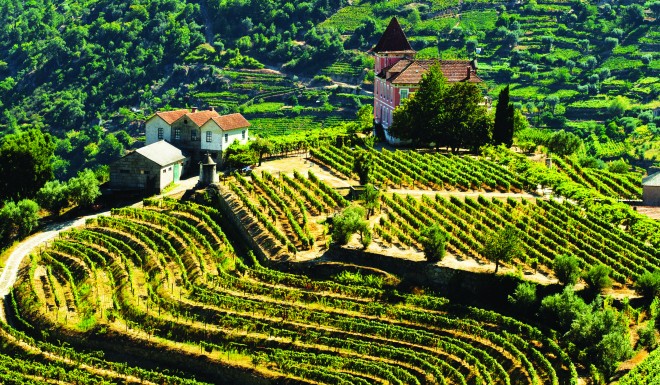 Portugal's picturesque Douro Valley vineyard, which many believe is the most beautiful wine growing area in the world.