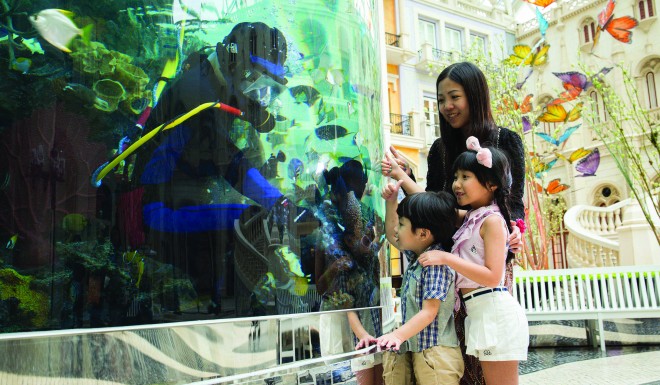 Don’t miss the free interactive fish-feeding show every day at 3pm inside MGM Macau’s aquarium.