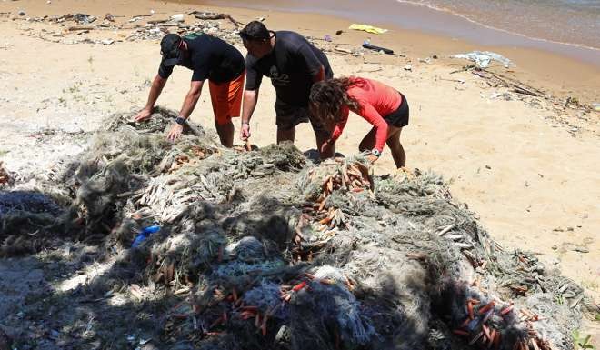 The size of the ghost net haul shocked volunteers. Photo: K.Y. Cheng
