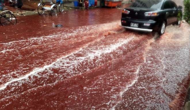 A car drives past a road turned red after blood from sacrificed animals mixed with water from heavy rainfall in Dhaka, Bangladesh. Photo: AP