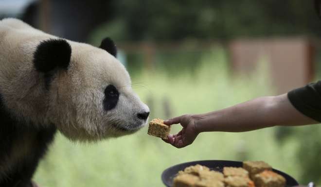 There might even be a discussion on the “sin” of consuming sugar. Maybe we could start with Moon Cakes, asks David Dodwell? Photo: Reuters