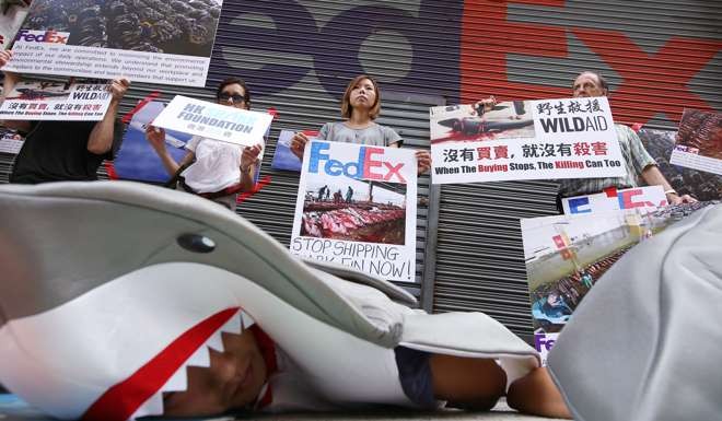 Activists protest at a FedEx depot in Kennedy Town against the firm shipping shark fin. Photo: Nora Tam