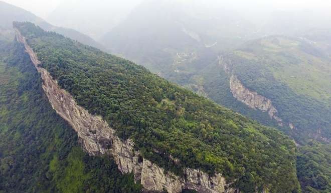 An aerial view of the lush forest on Tiantai Mountain now. Photo: SCMP Pictures