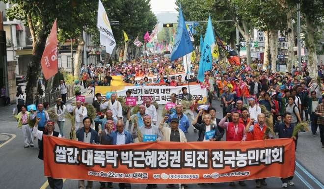 South Korean farmer take part in a protest march with banners reading 'President Park Geun-Hye Resignation' during a rally against the government's agricultural policy in Seoul. Photo: EPA