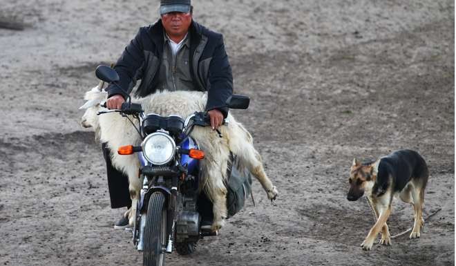 A shepherd in New Barag Left Banner. Photo: Simon Song