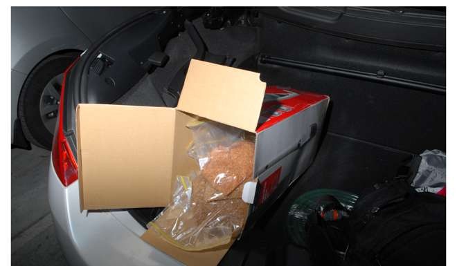 The consignment contained in excess of 500 kilograms of crystal MDMA. This equates to approximately 1.7 million ecstasy tablets, and has an estimated street value of AU$60 million. Photo: Australian Federal Police