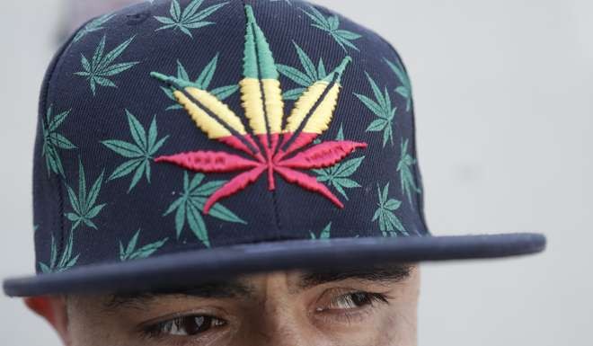 California, Maine Massachusetts and Nevada have voted to legalise marijuana for recreational use. Photo: AP
