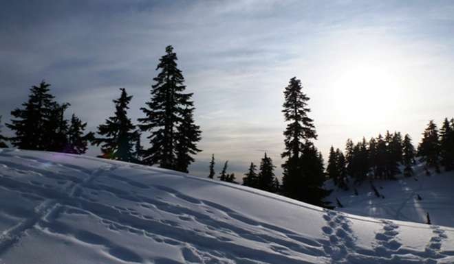 The slopes of Cypress Mountain, Canada. Photo: Handout