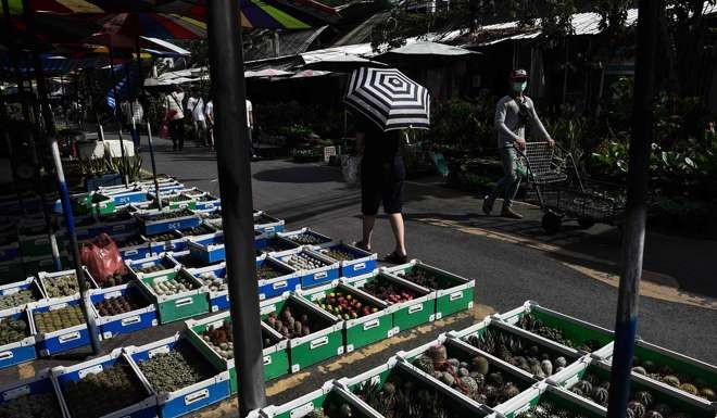 People walk past a cactus stall at a plant and flower market in Bangkok. Photo: AFP