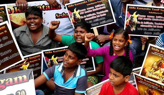 Members of various Tamil organisations, students, and supporters hold placards, to demand a ban on jallikattu be lifted: Photo: EPA