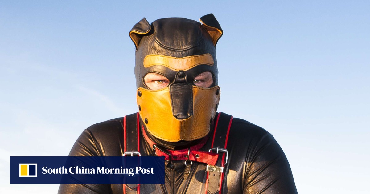 people who like to they're dogs | South China Morning Post