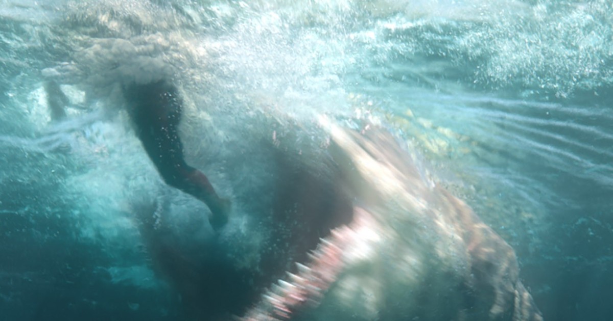The 12 best sea monster movies ranked, if The Meg doesn't float your boat |  South China Morning Post