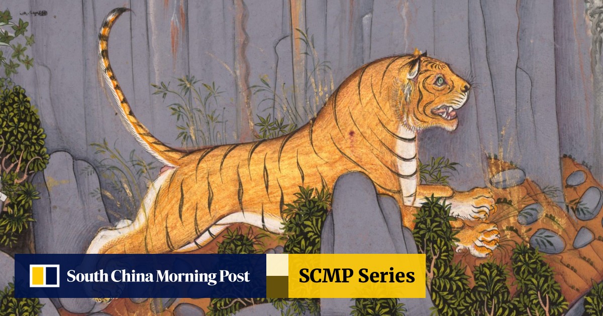 Year of the Tiger: where does the word 'tiger' come from and what might it  have in common with Viagra? | South China Morning Post